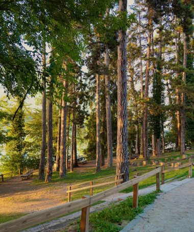Aire de détente Le Bois d’Amour