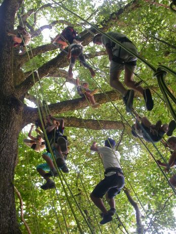 Sam’Branche Grimpe dans les arbres