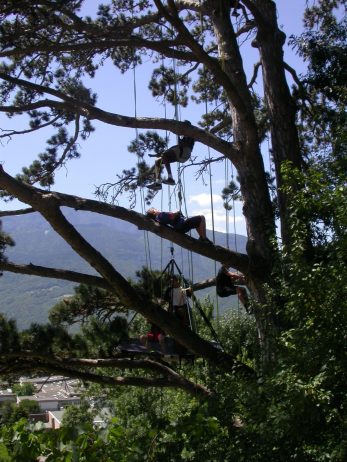 Sam’Branche Escalade dans les arbres en pays voironnais