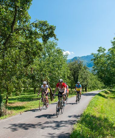 Velo touriste voironnais sale