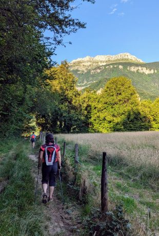 Marche plateau du Grand Ratz