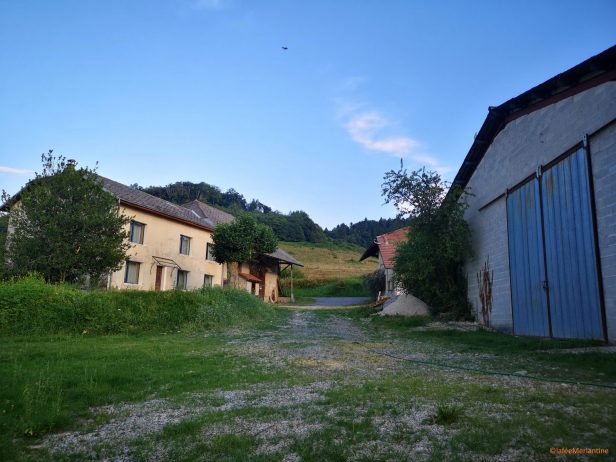 Gîte et ferme