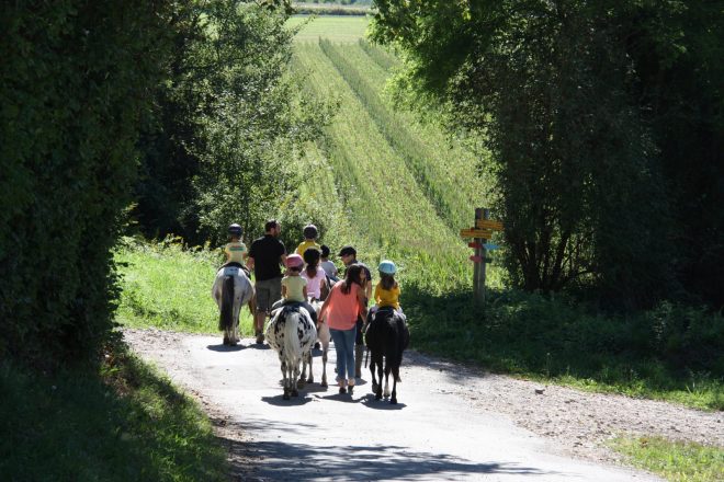 Equitation aux Ecuries de Crossey