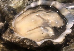 Les voiles effet mer