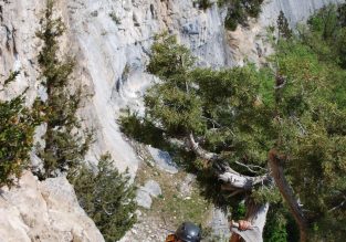 La via corda avec Terra Nova