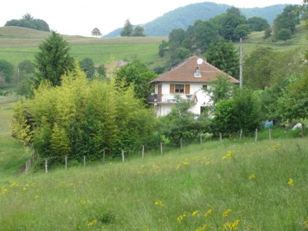 Vue sur le gîte