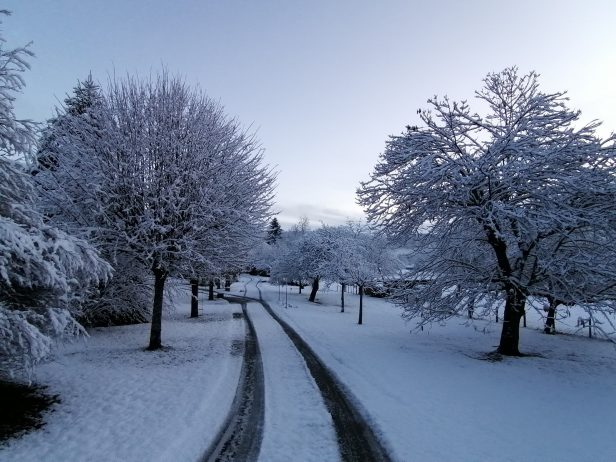 L’allée en hiver