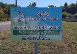 Vente de fromage de chèvre au GAEC entre Fure et Tour
