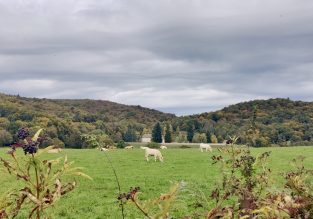 Marche nordique émotionnelle avec Épig&Sens