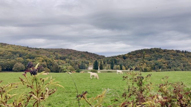 Ancien monastère médiéval de l’ordre des Chartreux et la Sylve Bénite