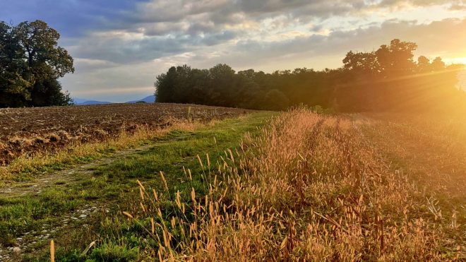 Un soir d’été au bois de Charauze