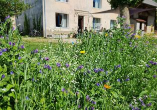 Gîte La Fée Merlantine