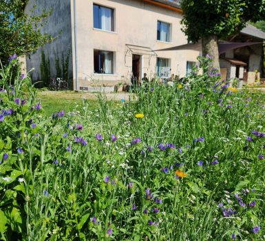 Gîte La Fée Merlantine