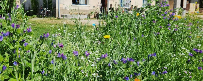 Gîte La Fée Merlantine