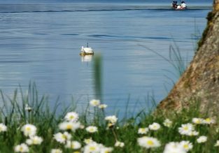 Camping Le Pin Paradis