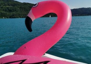 Camping Le Pin Paradis