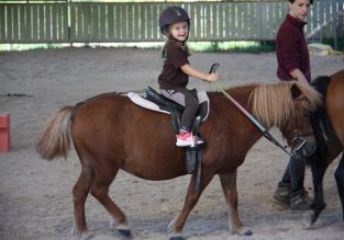 Cours d’équitation avec les Écuries de Crossey