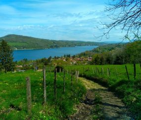 Bois des Sarres, Bois d’amour