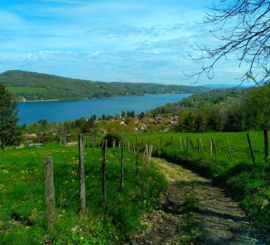 Bois des Sarres, Bois d’amour
