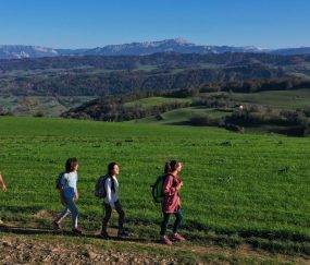 La forêt de Servelongue
