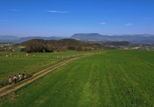 La forêt de Servelongue