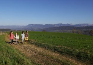 La forêt de Servelongue