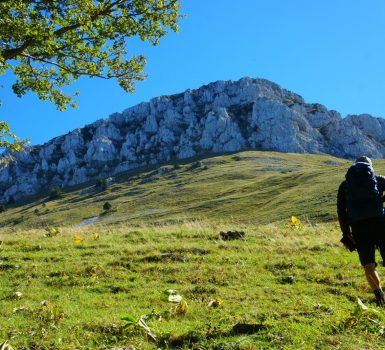 L’alpage de la Grande Sure