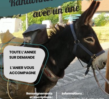 Randonnée accompagnée avec des ânes
