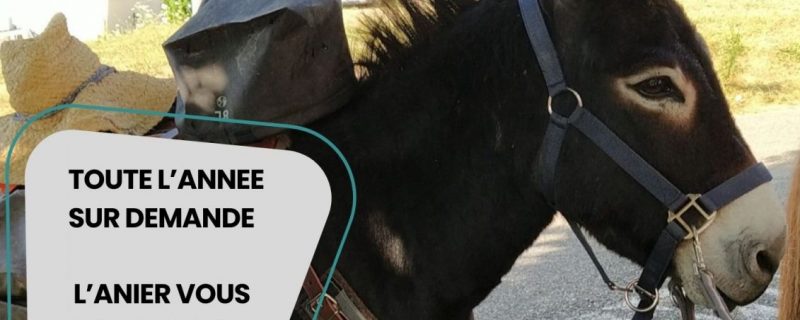 Randonnée accompagnée avec des ânes