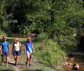 La Vallée de la Fure