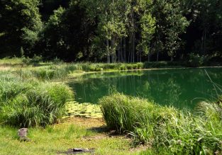 Plans d’eau sauvages du Voironnais