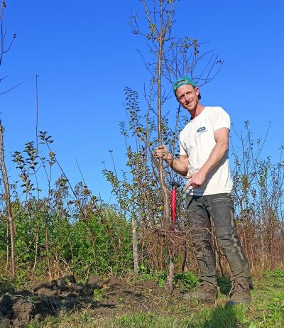 Pépinière Foret Spirée