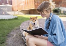 Chiens lecteurs à votre écoute !