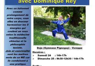 Stage de Qi Gong bâtonnet