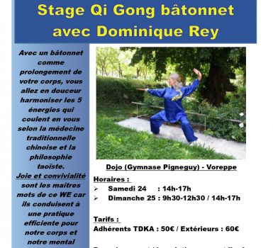 Stage de Qi Gong bâtonnet
