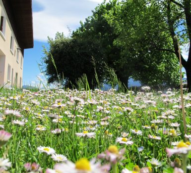 Chambres d’hôtes Revenons-à-nos-Moutons