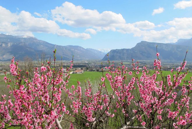 Vue de la terrasse le printemps