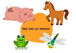 Atelier : Nos amis les animaux