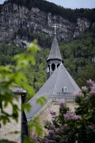 dsc_3184.jpg