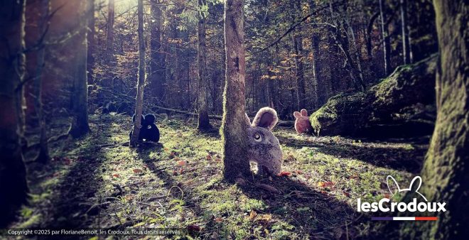 Les Crodoux en forêt
