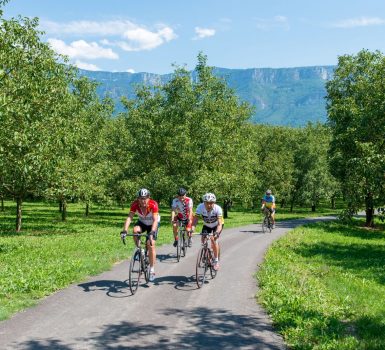 Circuit 1 : De Tullins aux rives de l’Isère