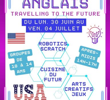 Stage d’anglais été : Robotics