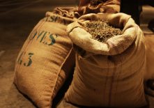 Jeu de pistes : les archivistes de la Chartreuse