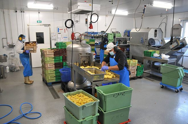 Visite de la Légumerie et Conserverie locale AB Epluche