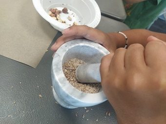 Atelier : L’alimentation au Néolithique_Villages du lac de Paladru
