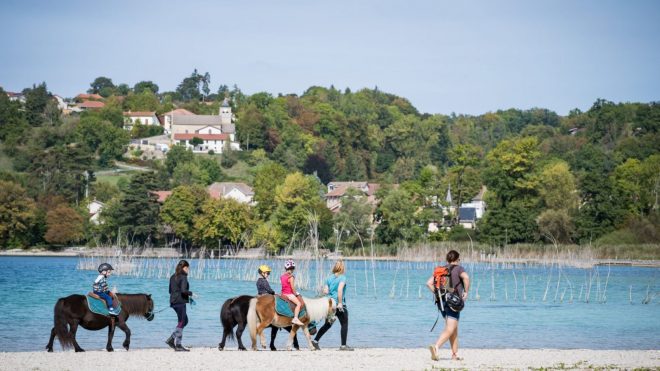 Activités poneys_Montferrat