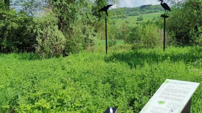 Animations nature et oiseaux_Villages du lac de Paladru