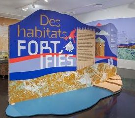 Visite guidée de l’exposition « Fortifications »