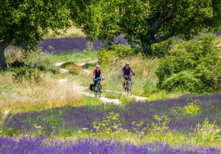 Les P’tites Routes Du Soleil ®