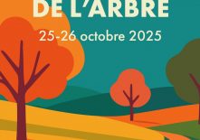 Festival de l’Arbre